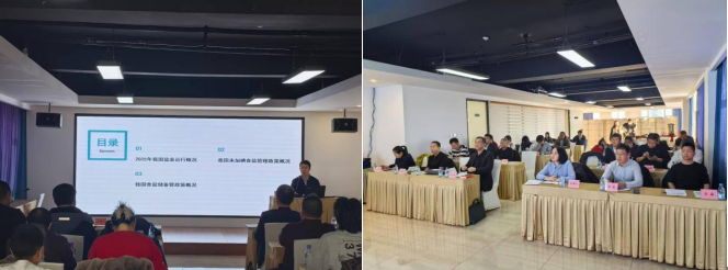 1764553616825737.png 1.png